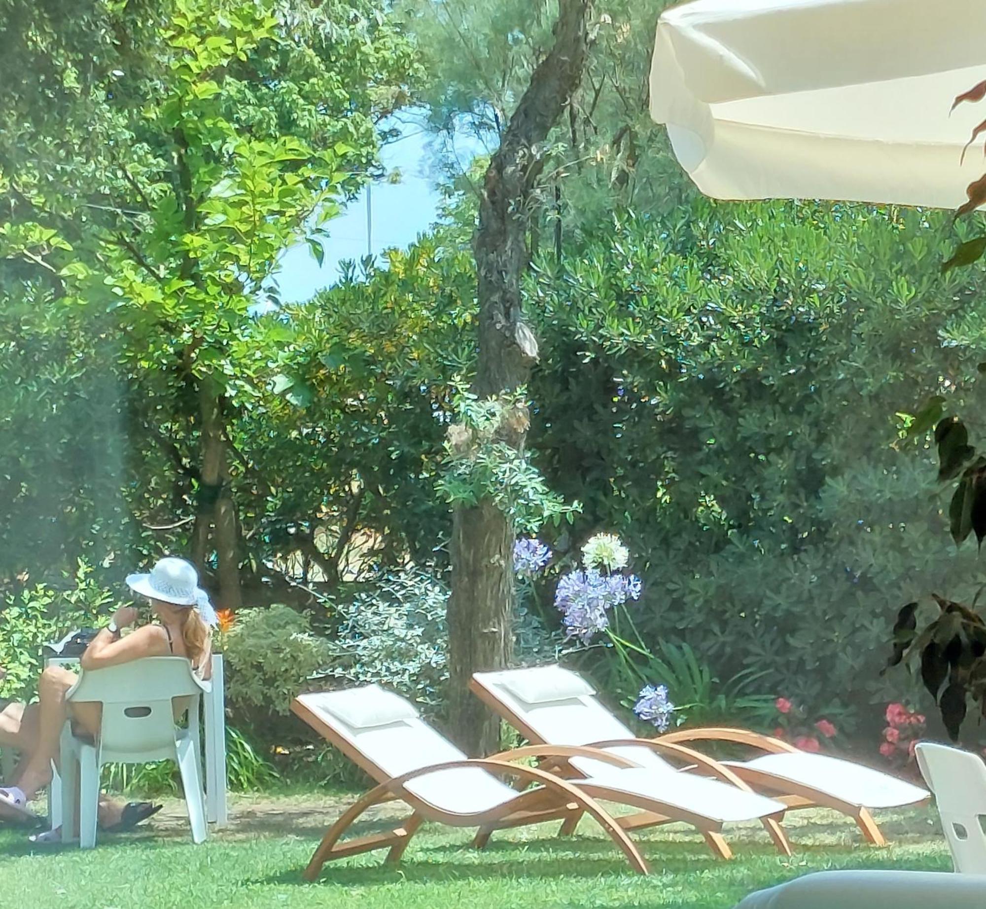 Hotel Astor B&B Lido di Classe Exterior photo